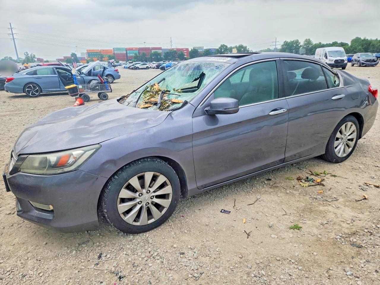 2013 Honda Accord Exl Gray vin: 1HGCR2F83DA094839