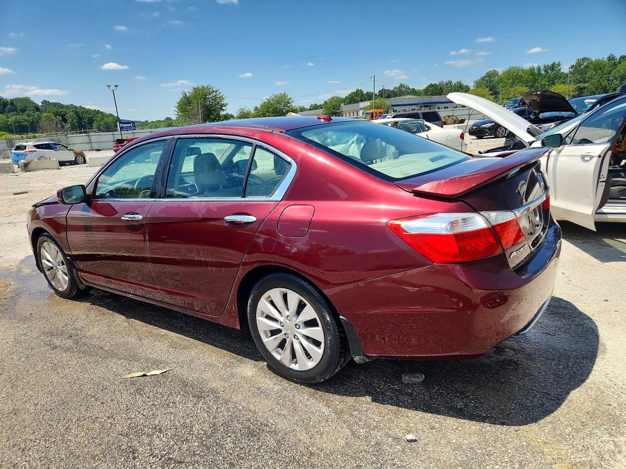2013 Honda Accord Exl Бордовый vin: 1HGCR2F83DA107203