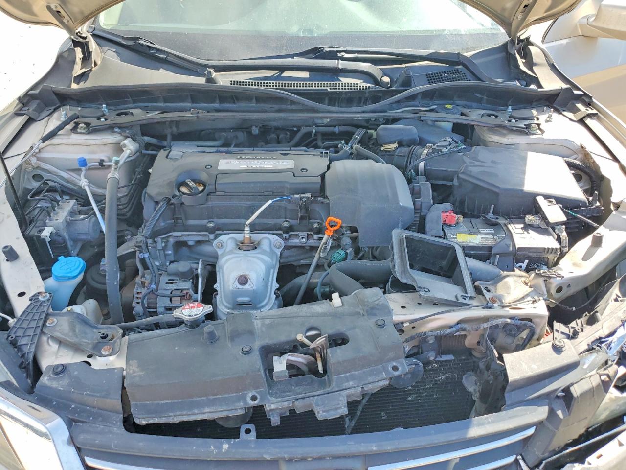 2013 Honda Accord Exl Gold vin: 1HGCR2F83DA111963
