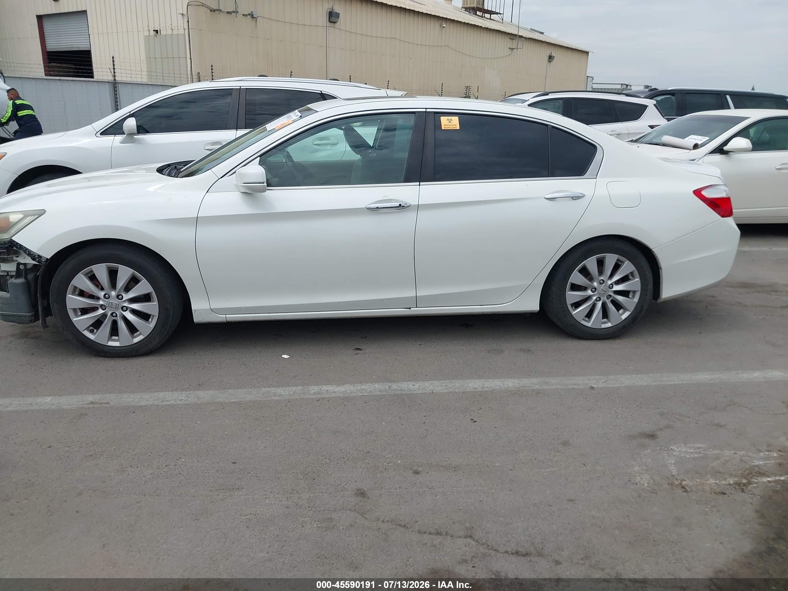 2013 Honda Accord Ex-l White vin: 1HGCR2F83DA115155