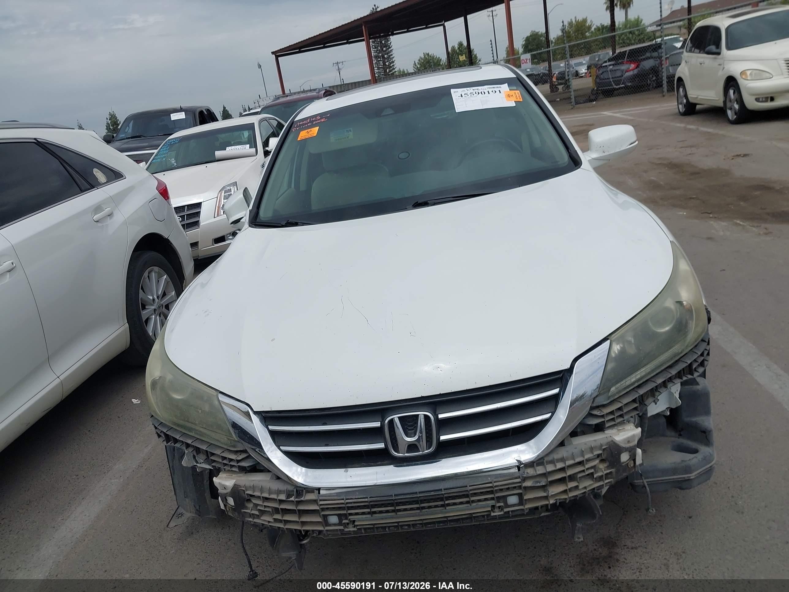 2013 Honda Accord Ex-l White vin: 1HGCR2F83DA115155