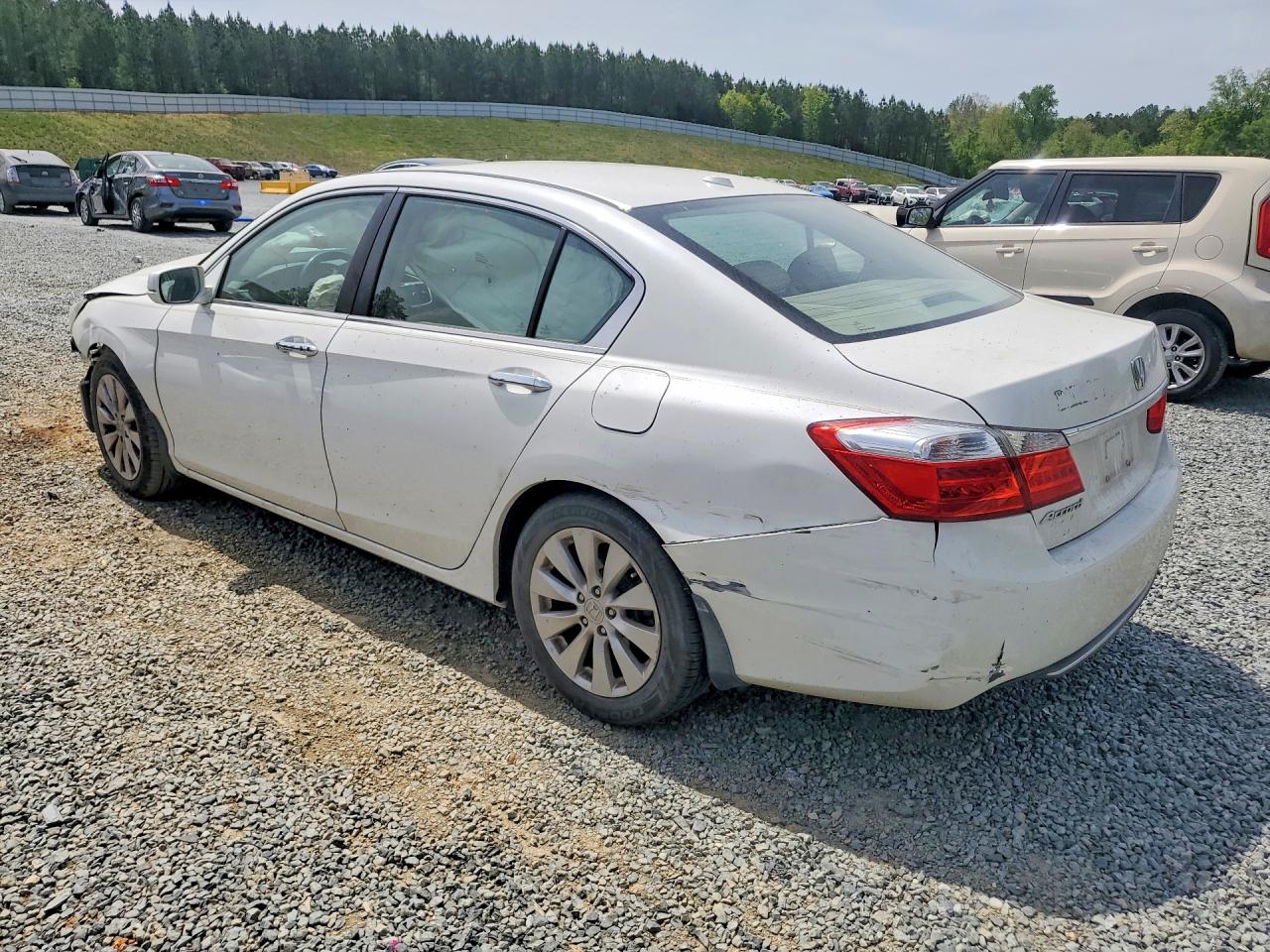 2013 Honda Accord Exl Белый vin: 1HGCR2F83DA144381
