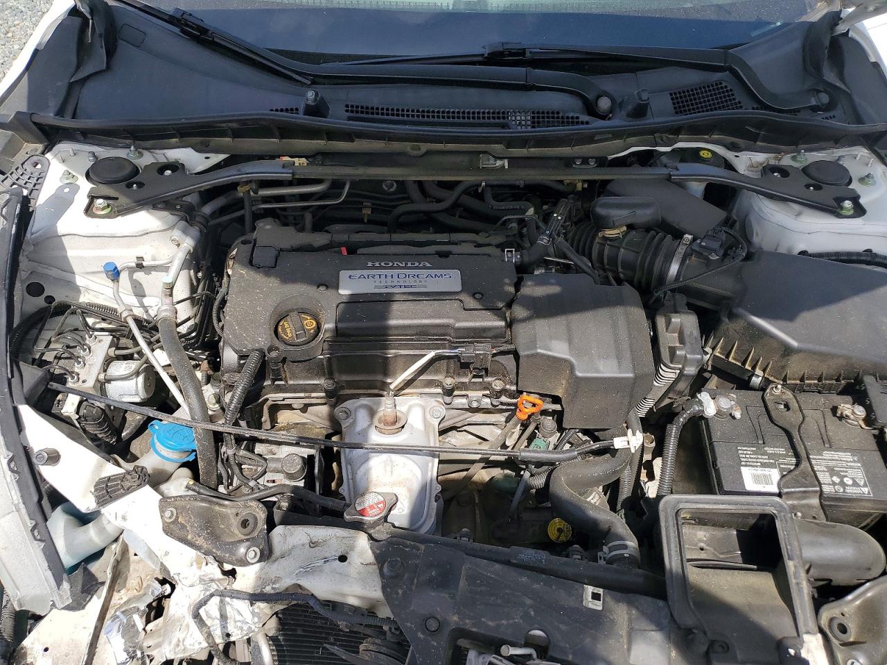 2013 Honda Accord Exl Белый vin: 1HGCR2F83DA144381