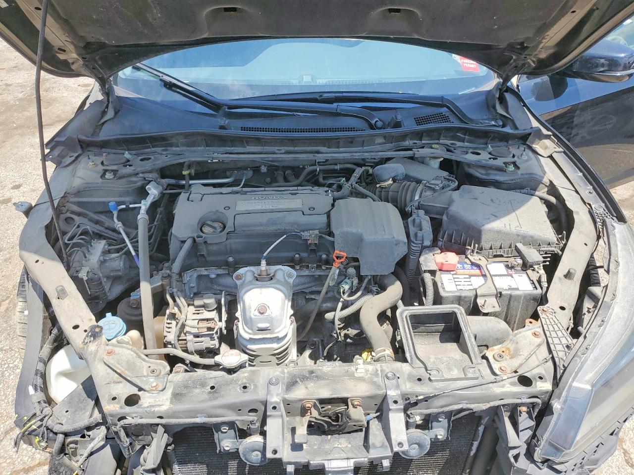 2013 Honda Accord Exl Black vin: 1HGCR2F83DA148608