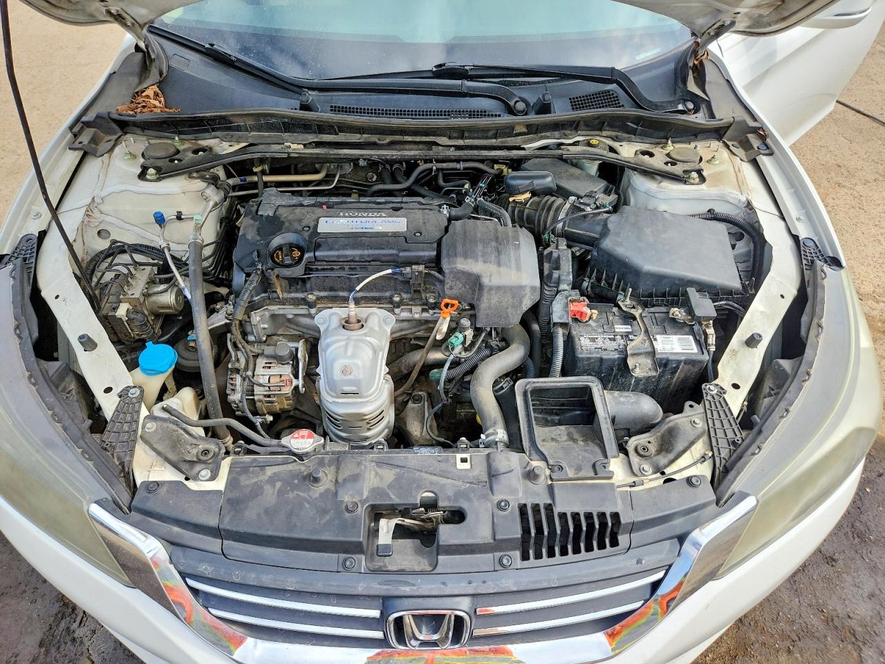 2013 Honda Accord Exl White vin: 1HGCR2F83DA194195