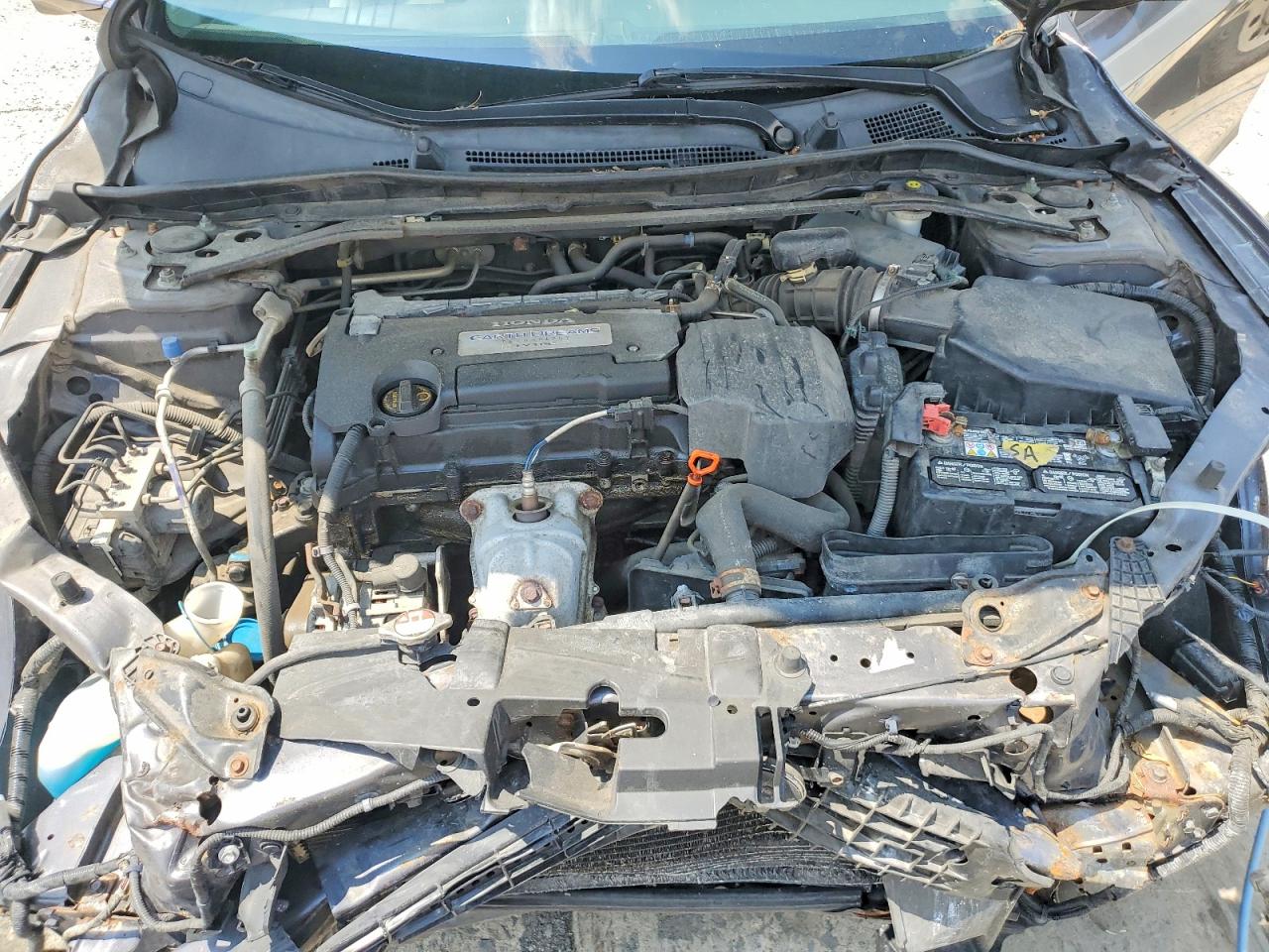 2013 Honda Accord Exl Gray vin: 1HGCR2F83DA196920