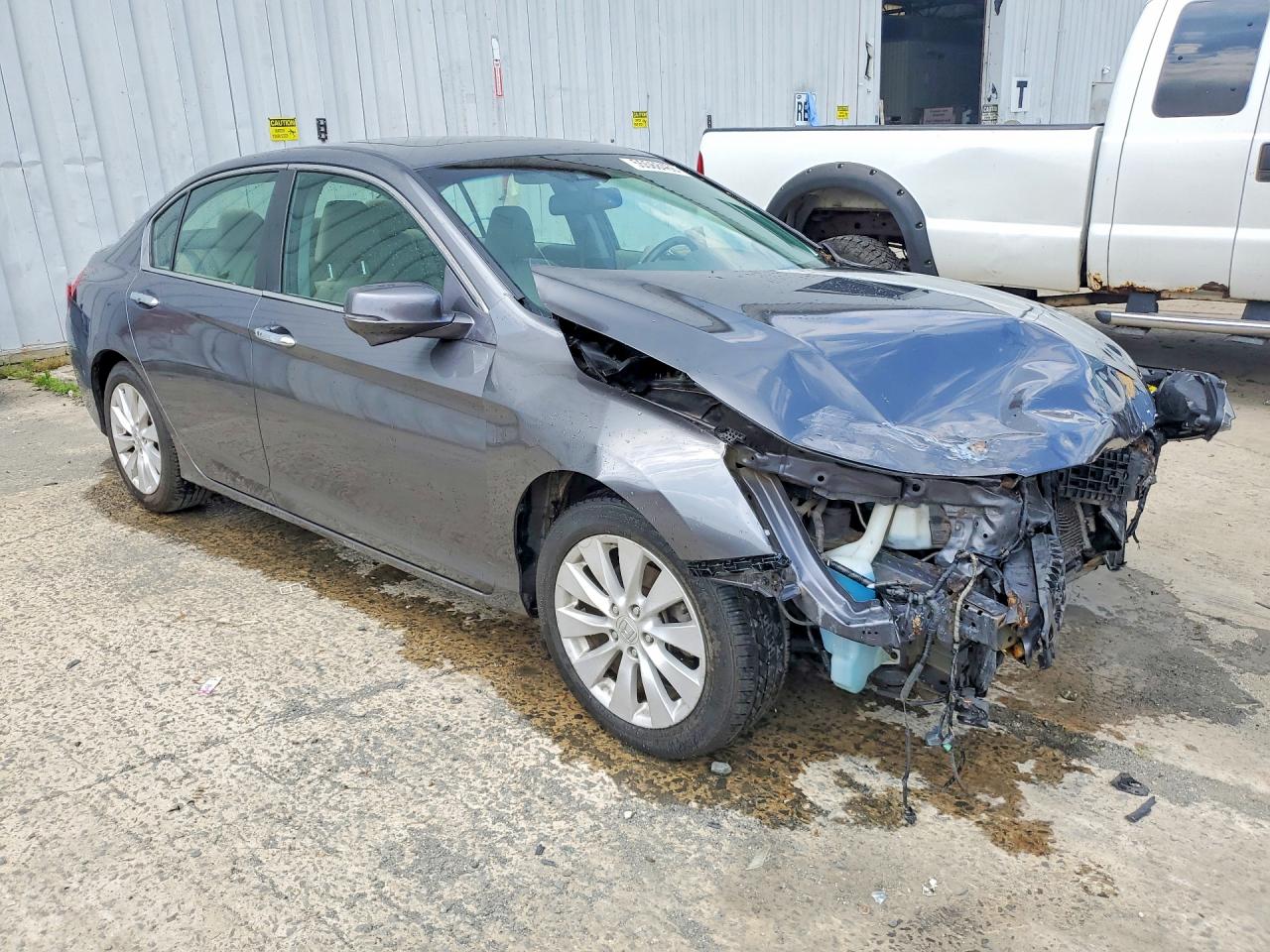 2013 Honda Accord Exl Gray vin: 1HGCR2F83DA196920