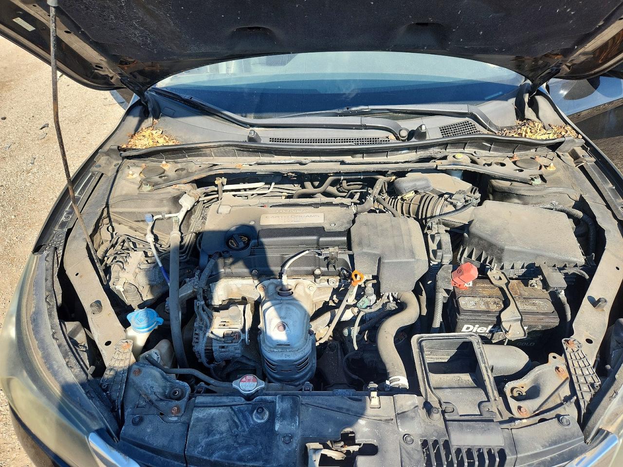 2013 Honda Accord Exl Черный vin: 1HGCR2F83DA284026
