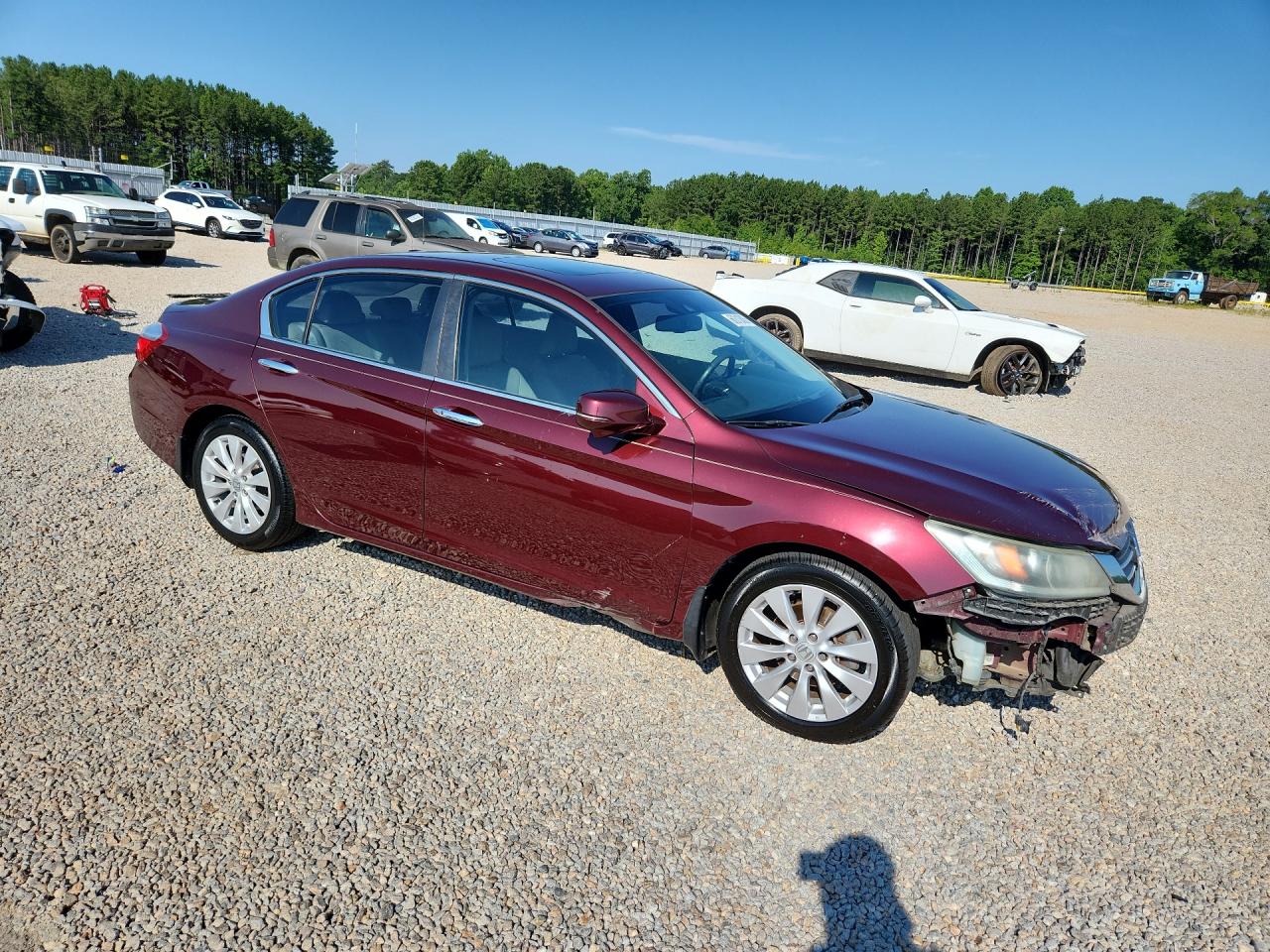 2014 Honda Accord Exl Burgundy vin: 1HGCR2F83EA246300