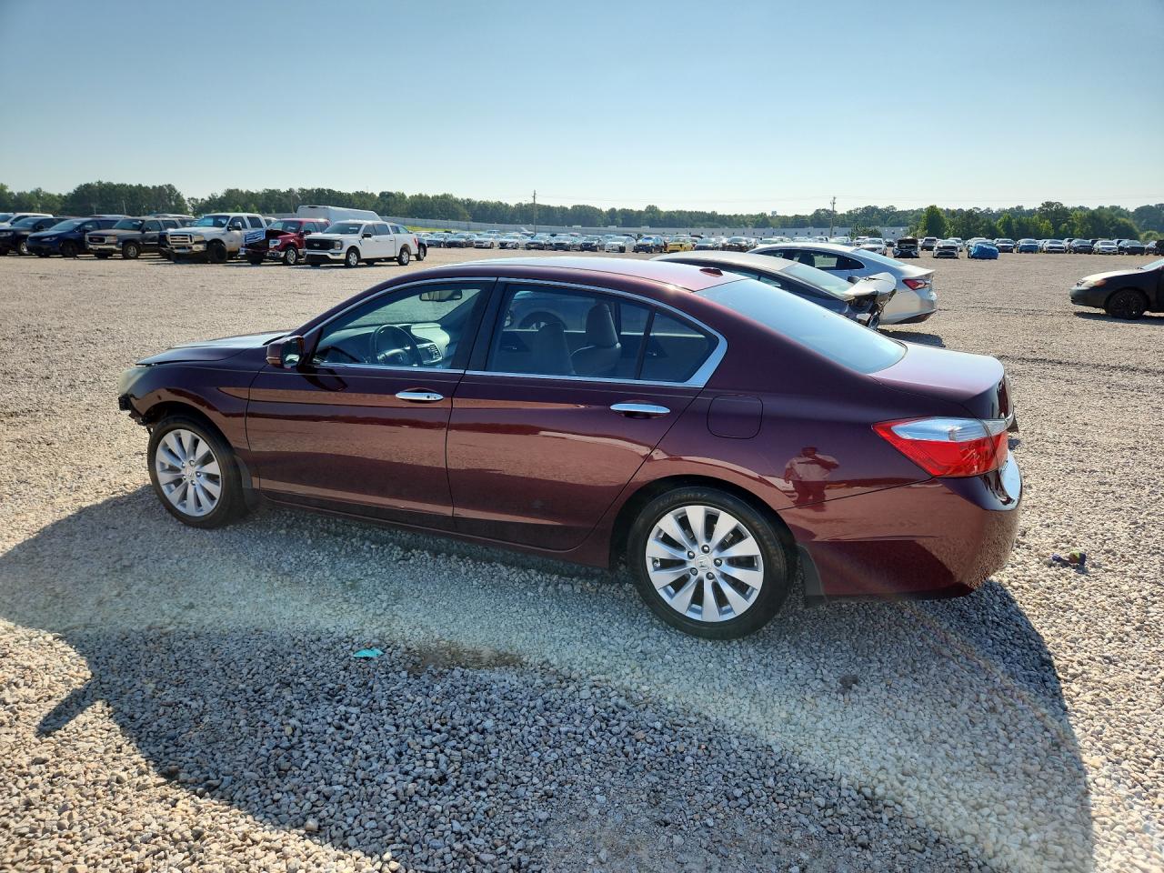 2014 Honda Accord Exl Burgundy vin: 1HGCR2F83EA246300