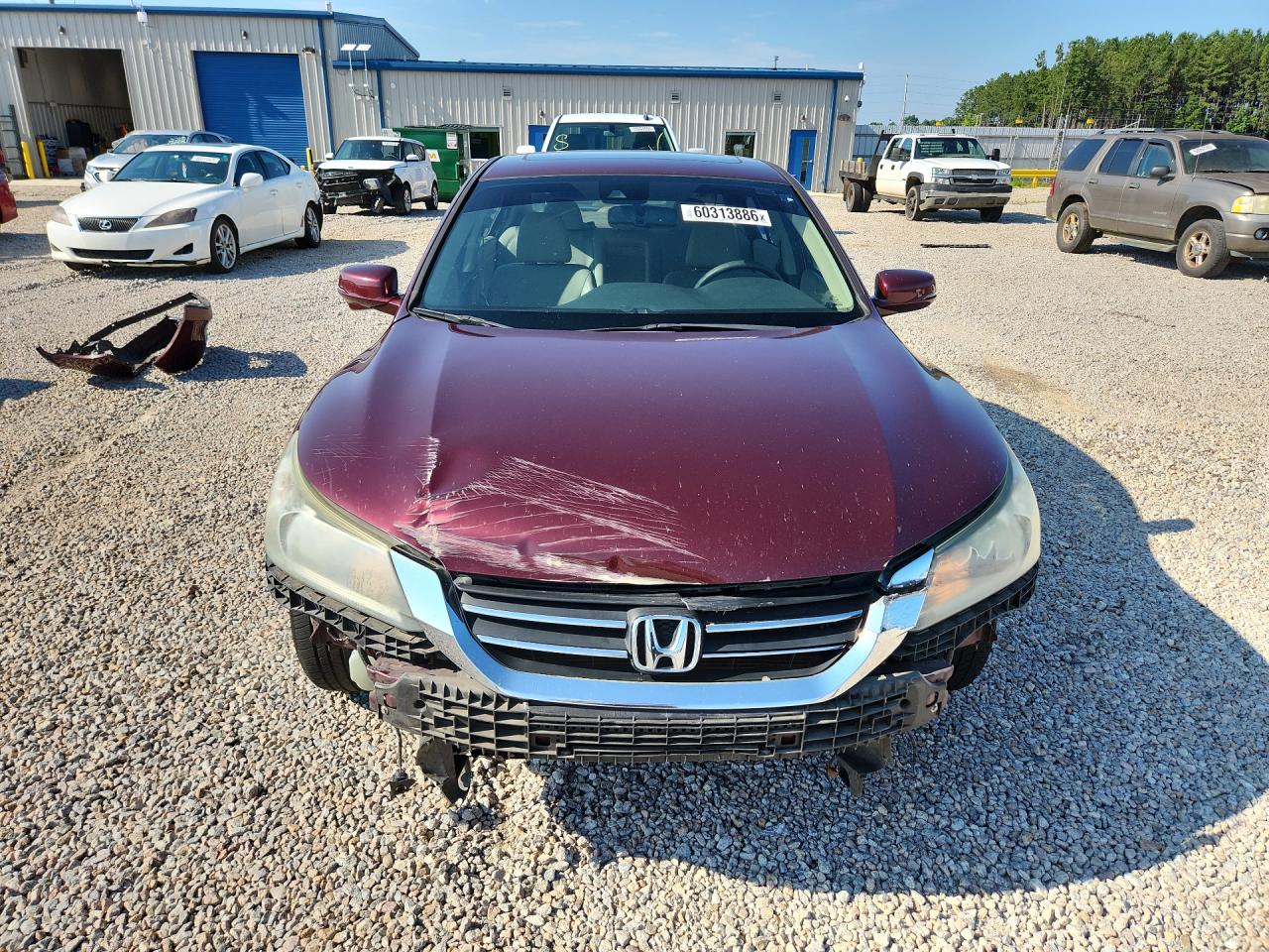 2014 Honda Accord Exl Burgundy vin: 1HGCR2F83EA246300