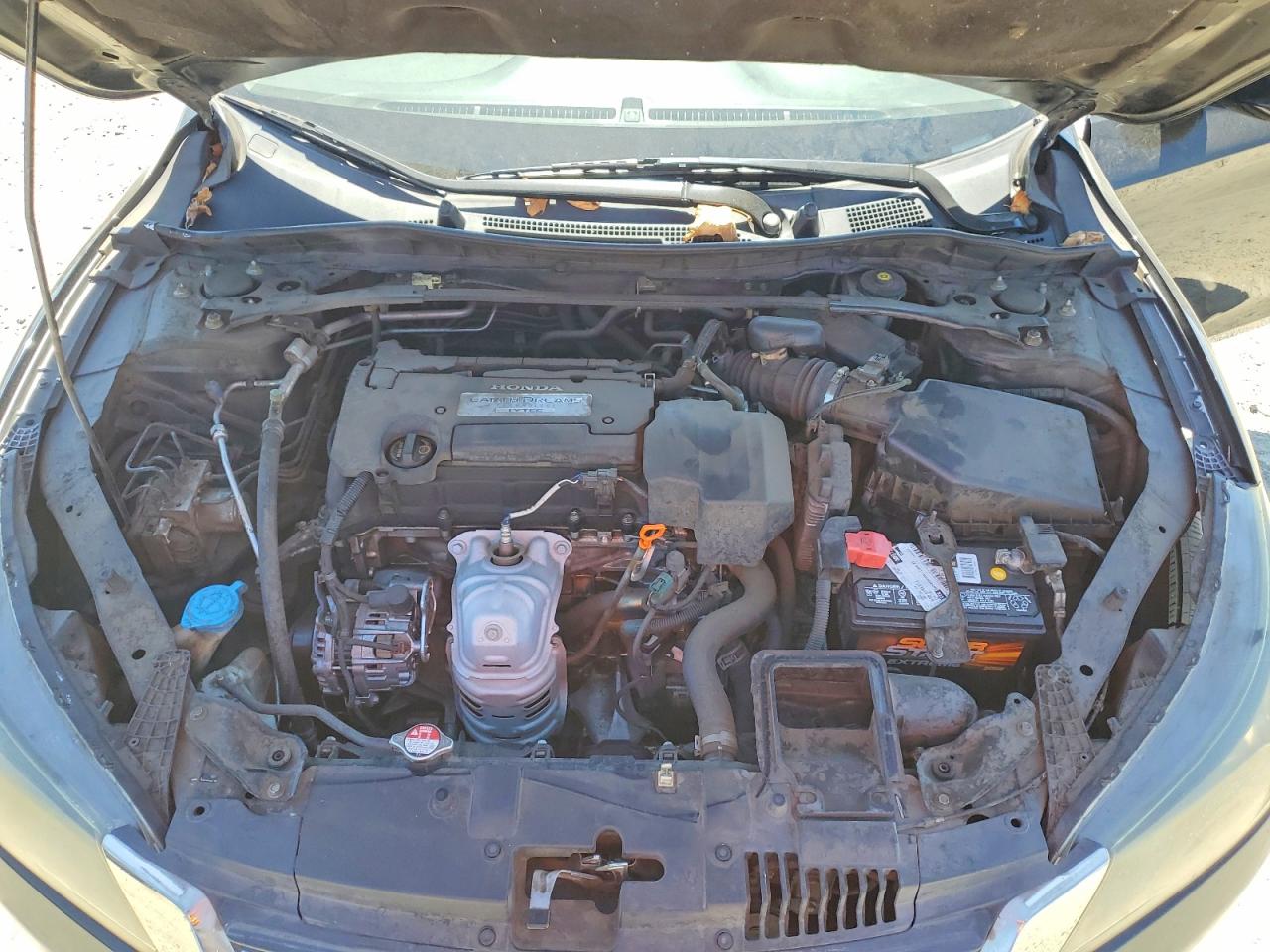 2013 Honda Accord Exl Black vin: 1HGCR2F84DA006543