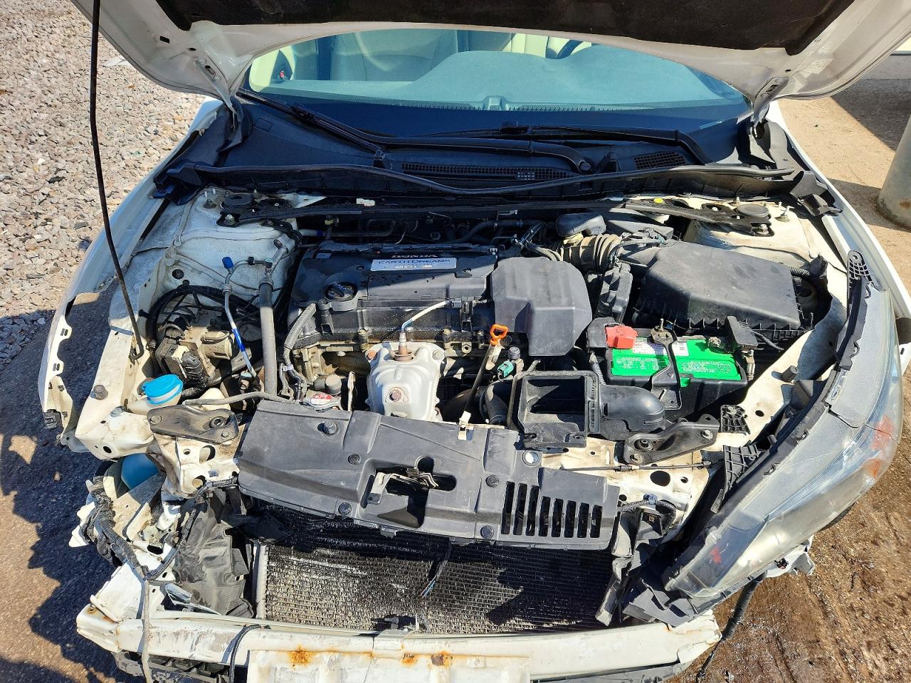 2013 Honda Accord Exl White vin: 1HGCR2F84DA018174