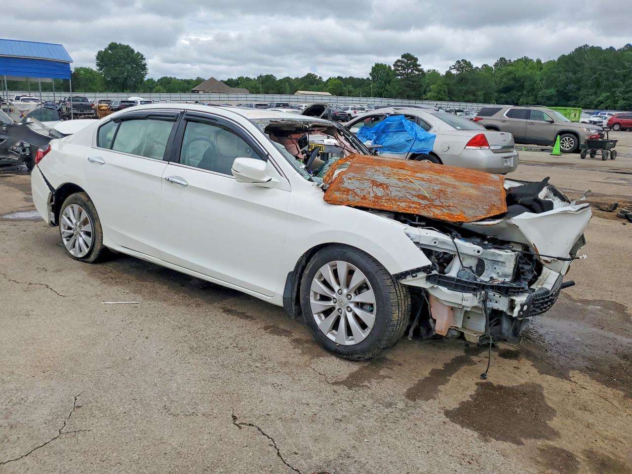 2013 Honda Accord Exl White vin: 1HGCR2F84DA041938
