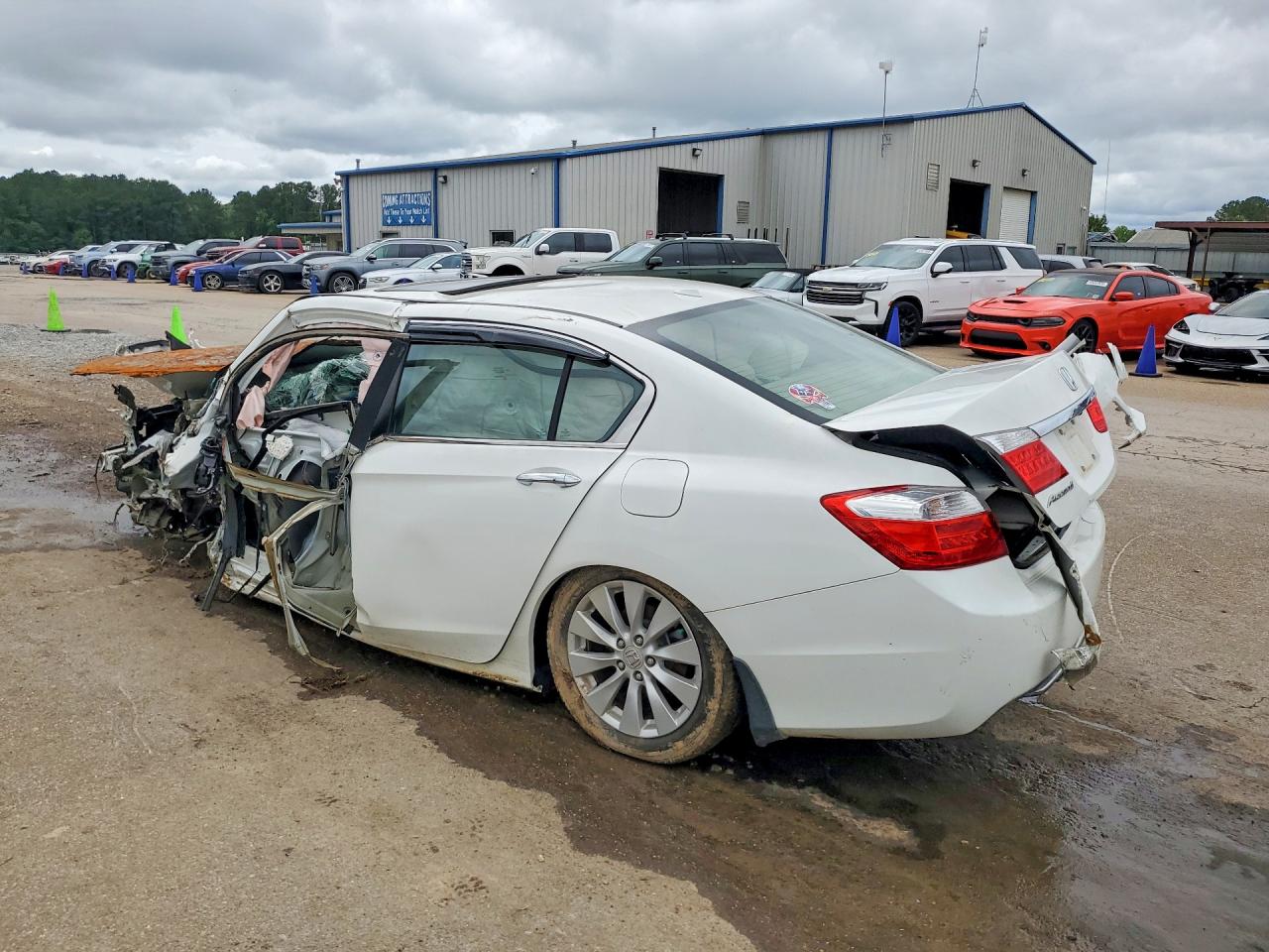 2013 Honda Accord Exl White vin: 1HGCR2F84DA041938