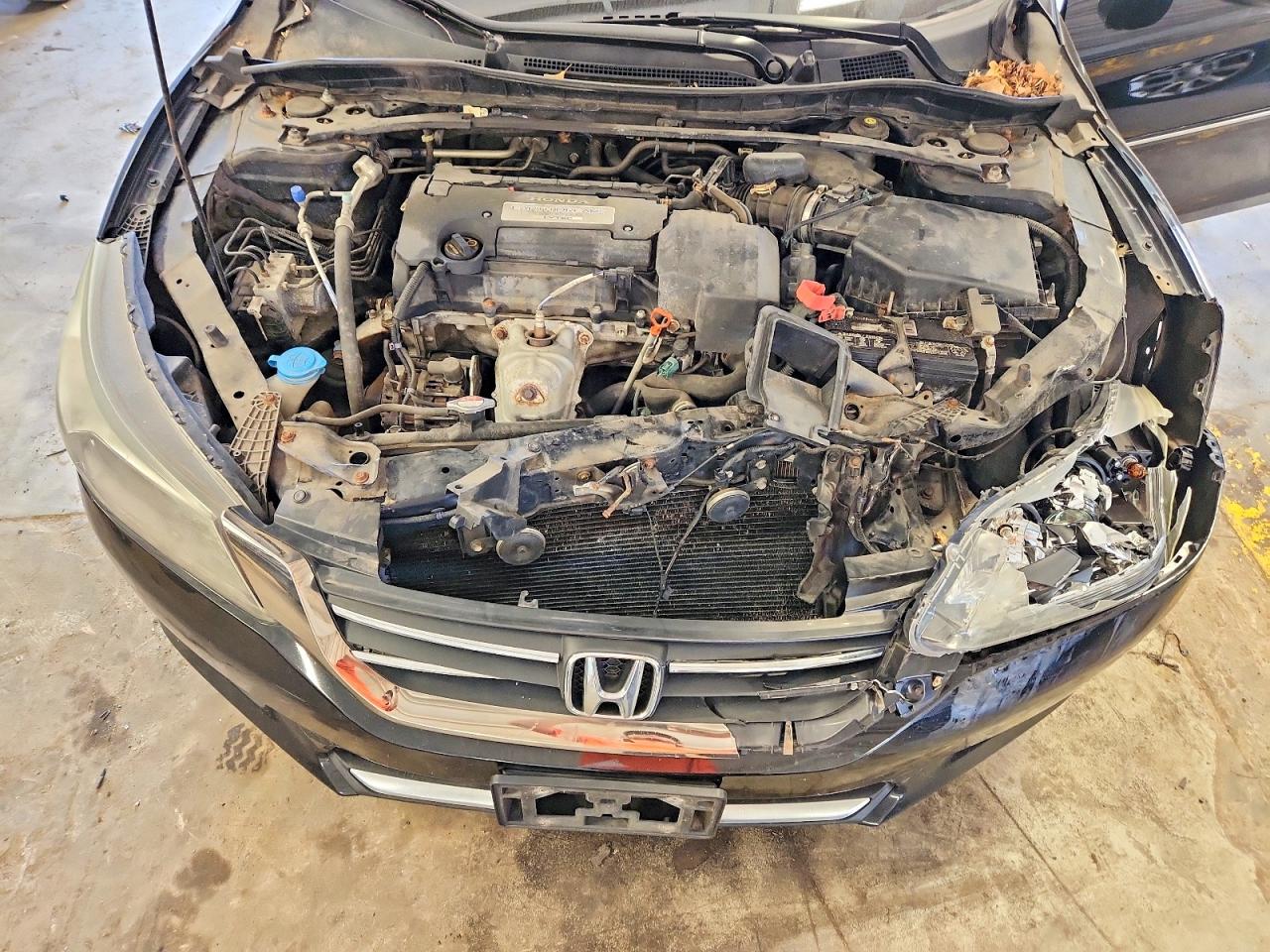 2013 Honda Accord Exl Black vin: 1HGCR2F84DA063714