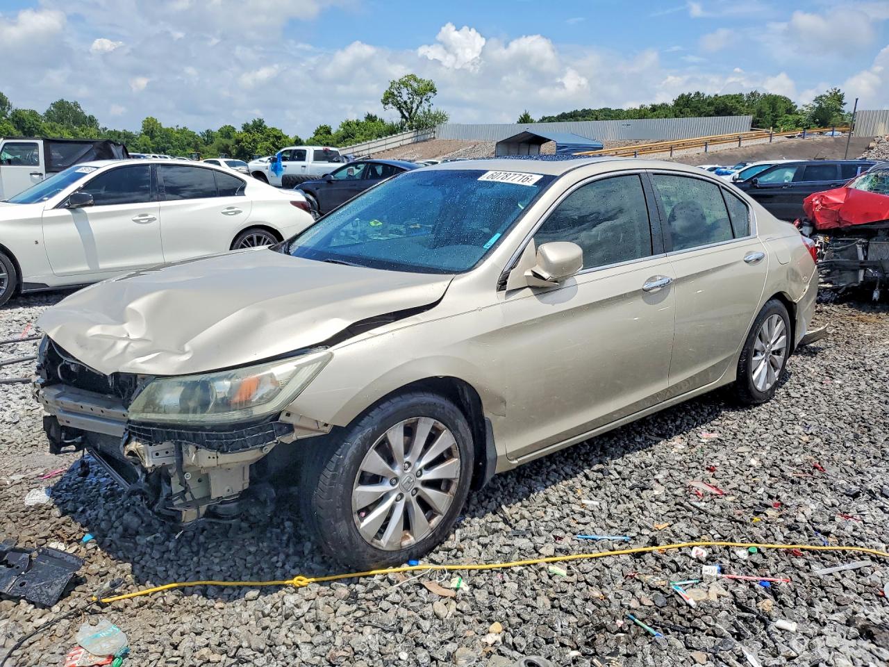 2013 Honda Accord Exl Желто-коричневый vin: 1HGCR2F84DA075040
