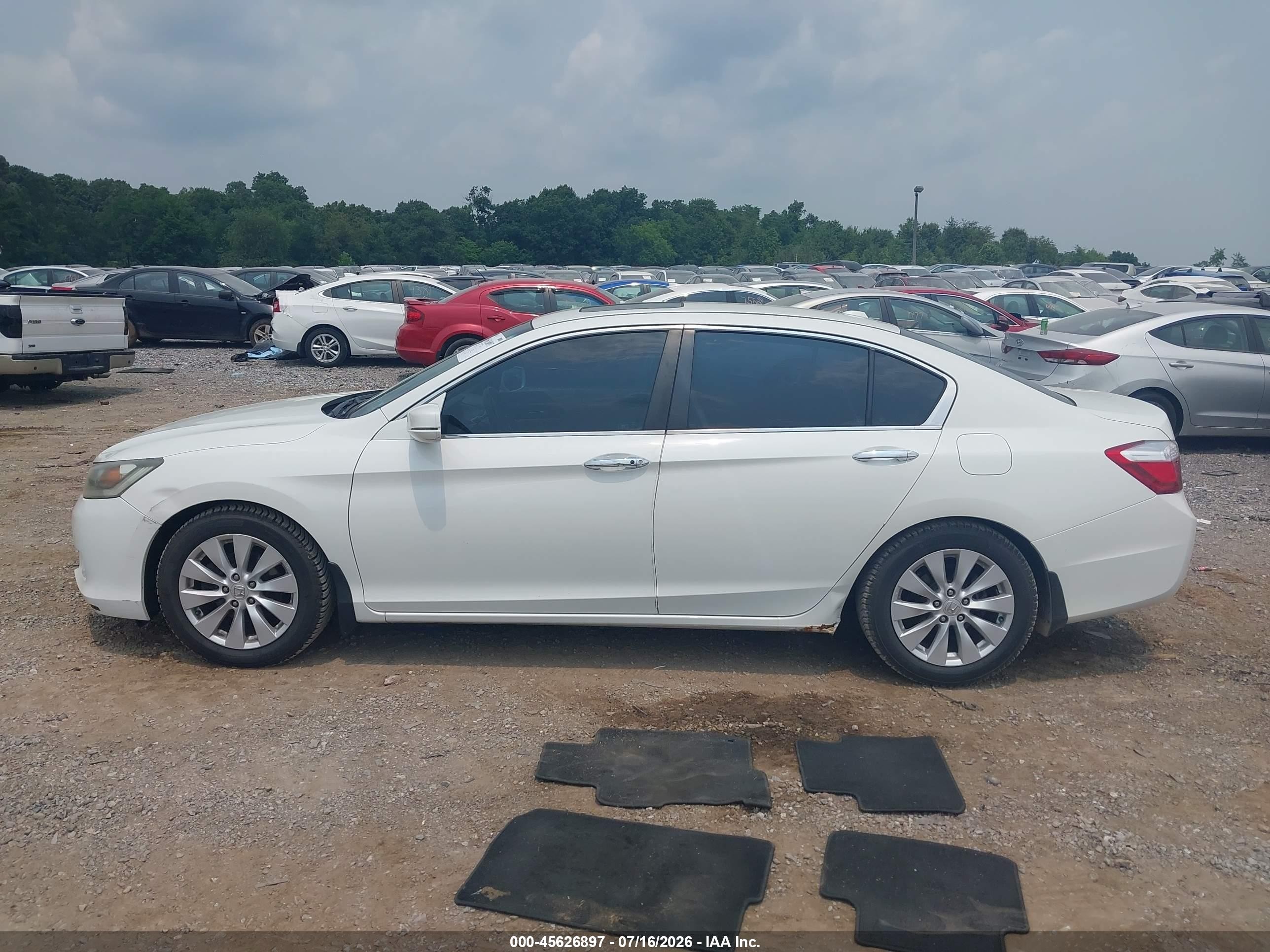 2013 Honda Accord Ex-l Белый vin: 1HGCR2F84DA076883