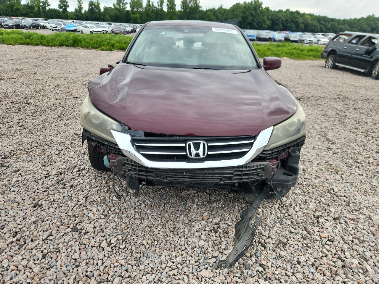 2013 Honda Accord Exl Black vin: 1HGCR2F84DA102558