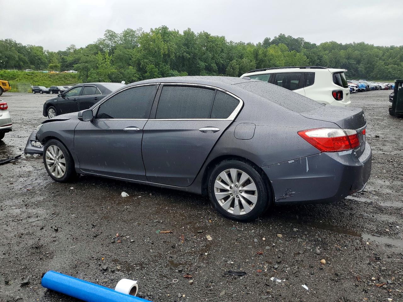 2013 Honda Accord Exl Gray vin: 1HGCR2F84DA148486