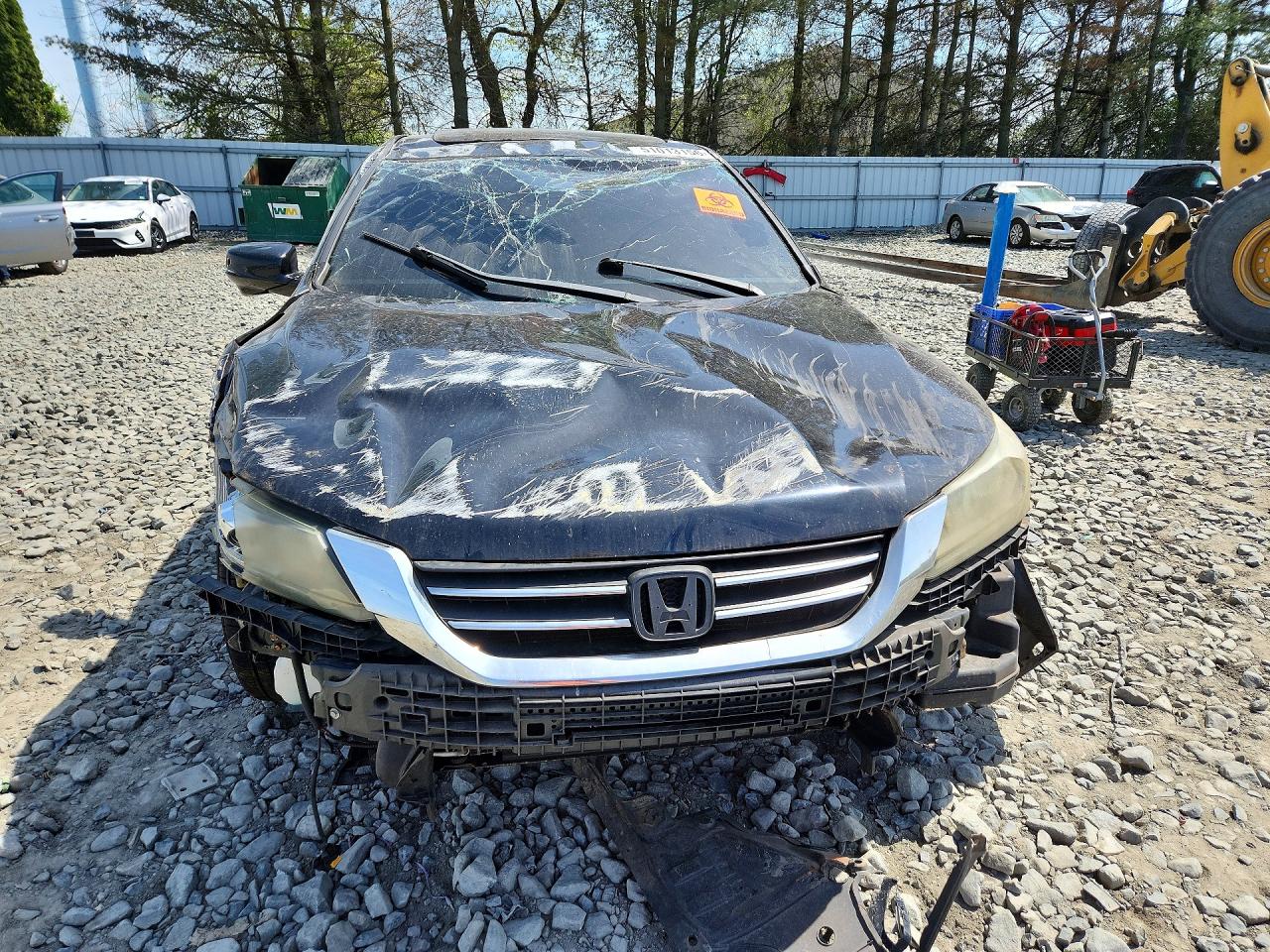 2013 Honda Accord Exl Black vin: 1HGCR2F84DA239435