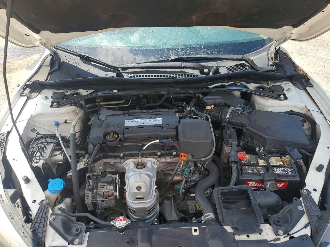 2014 Honda Accord Exl White vin: 1HGCR2F84EA019701