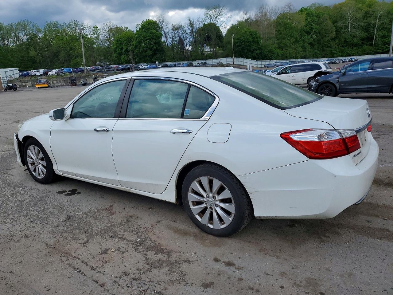 2014 Honda Accord Exl White vin: 1HGCR2F84EA084855
