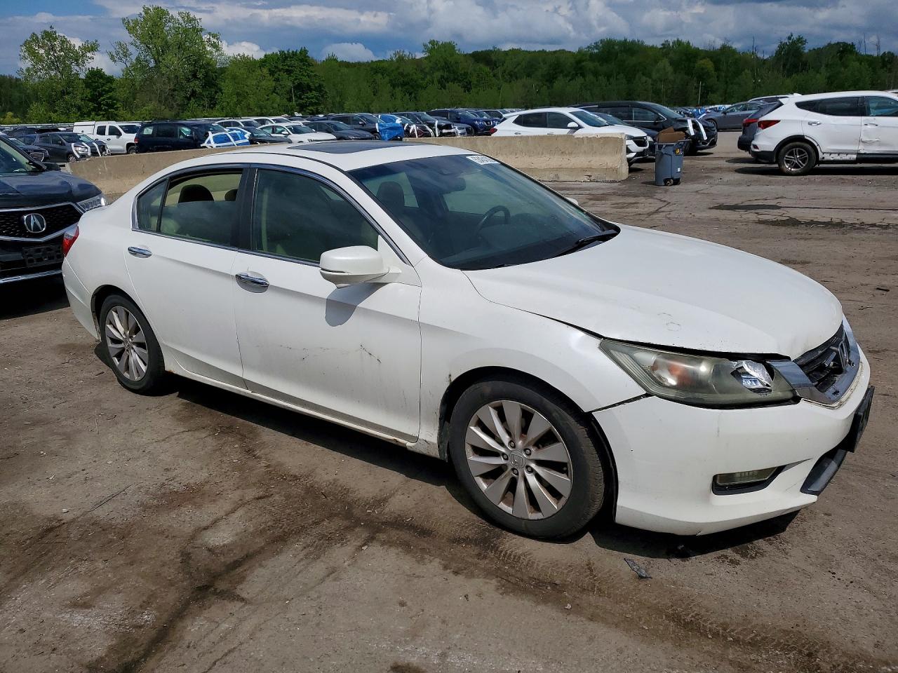 2014 Honda Accord Exl White vin: 1HGCR2F84EA084855
