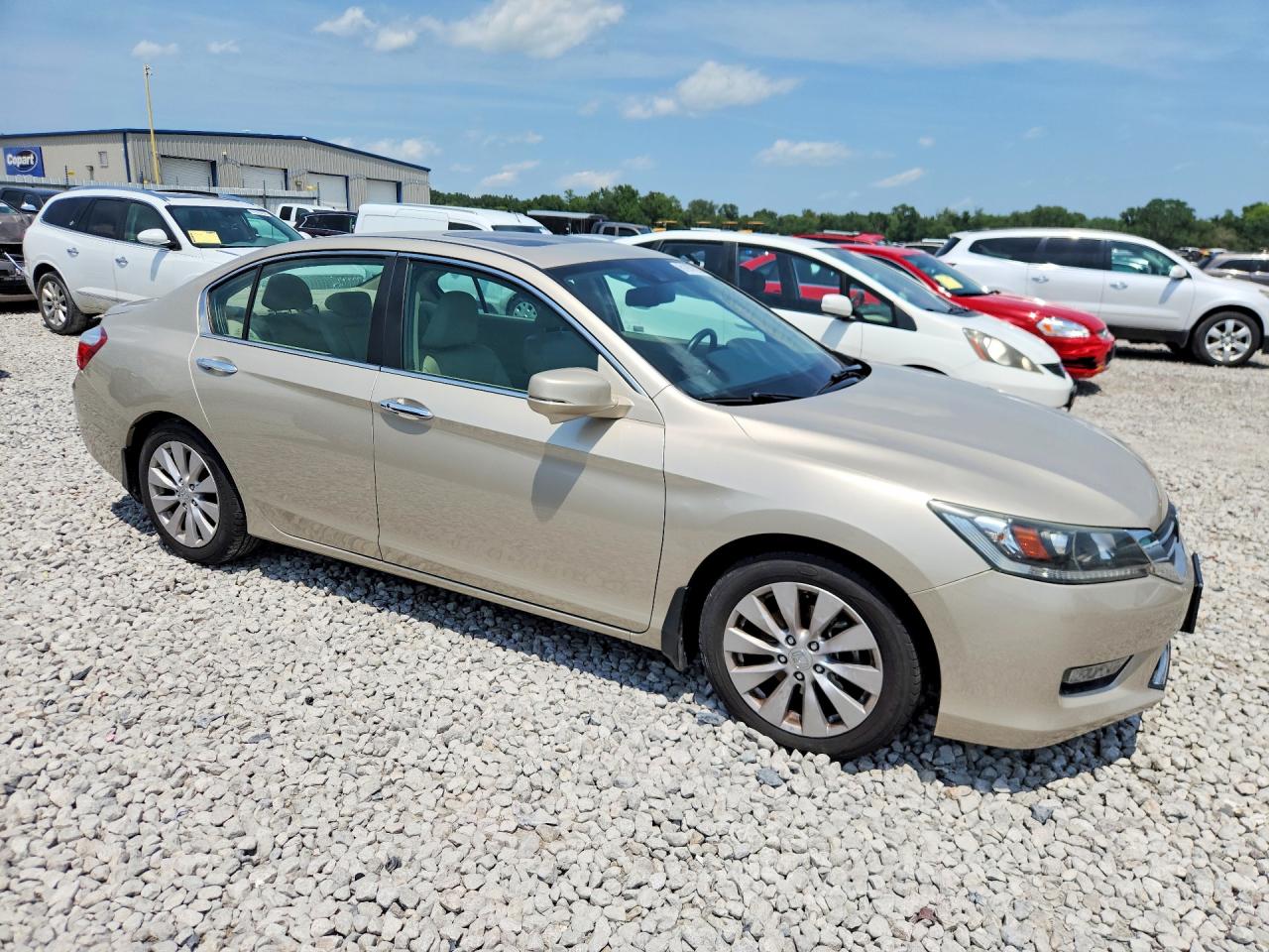 2014 Honda Accord Exl Золотой vin: 1HGCR2F84EA112945