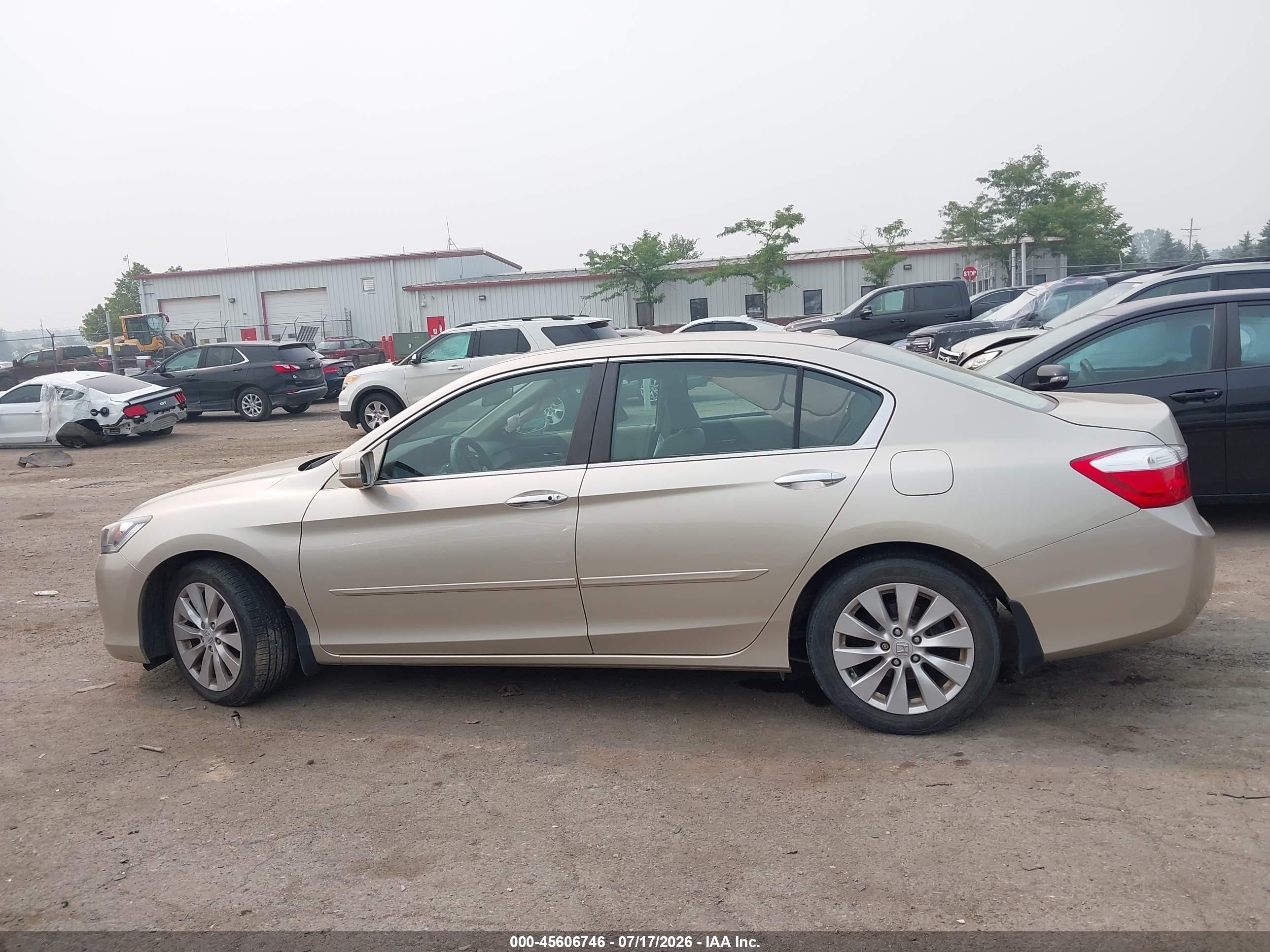 2014 Honda Accord Ex-l Золотой vin: 1HGCR2F84EA176046