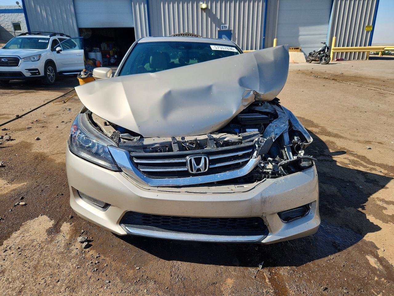 2014 Honda Accord Exl Gold vin: 1HGCR2F84EA205254
