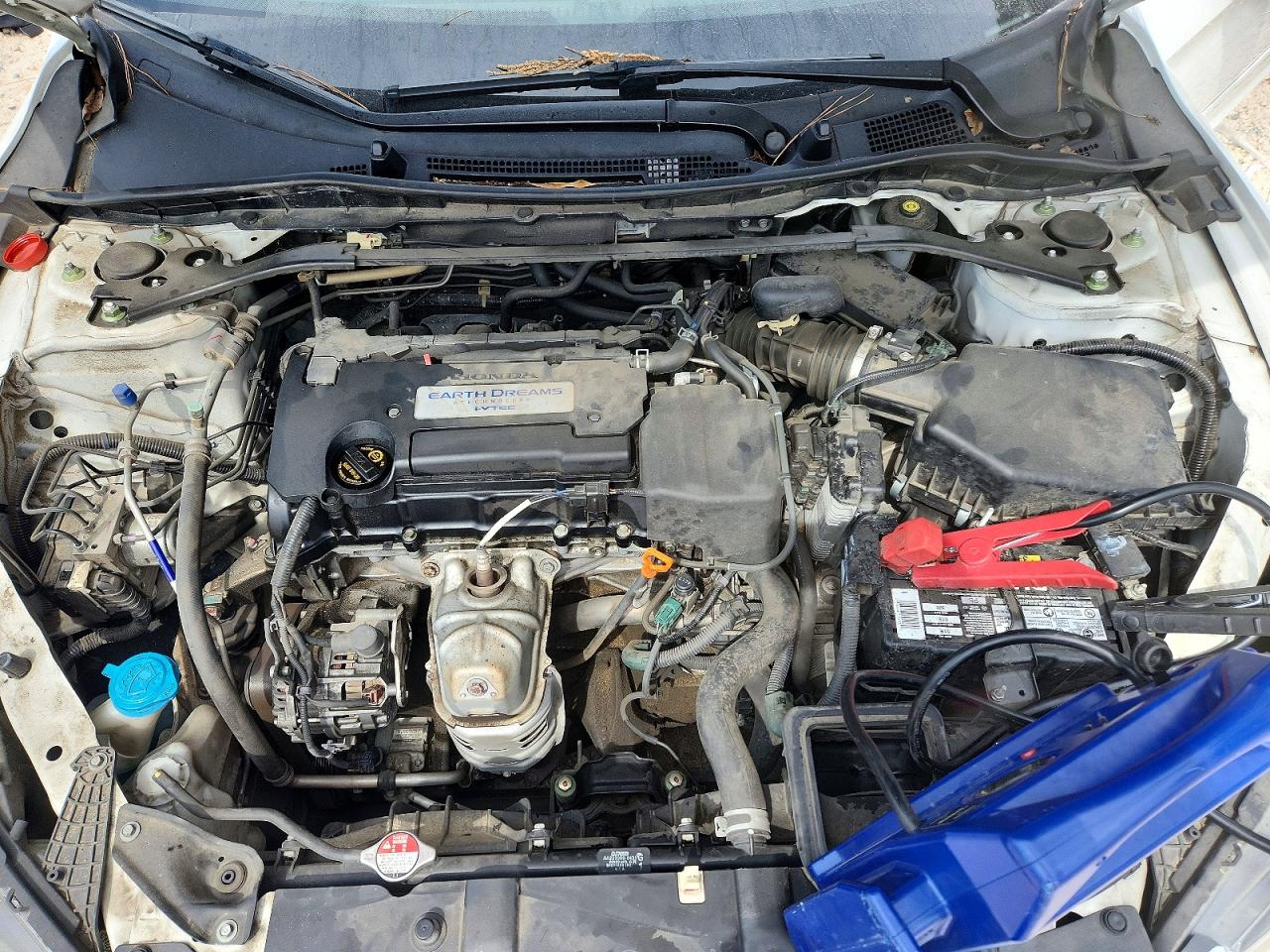 2014 Honda Accord Exl White vin: 1HGCR2F84EA261839