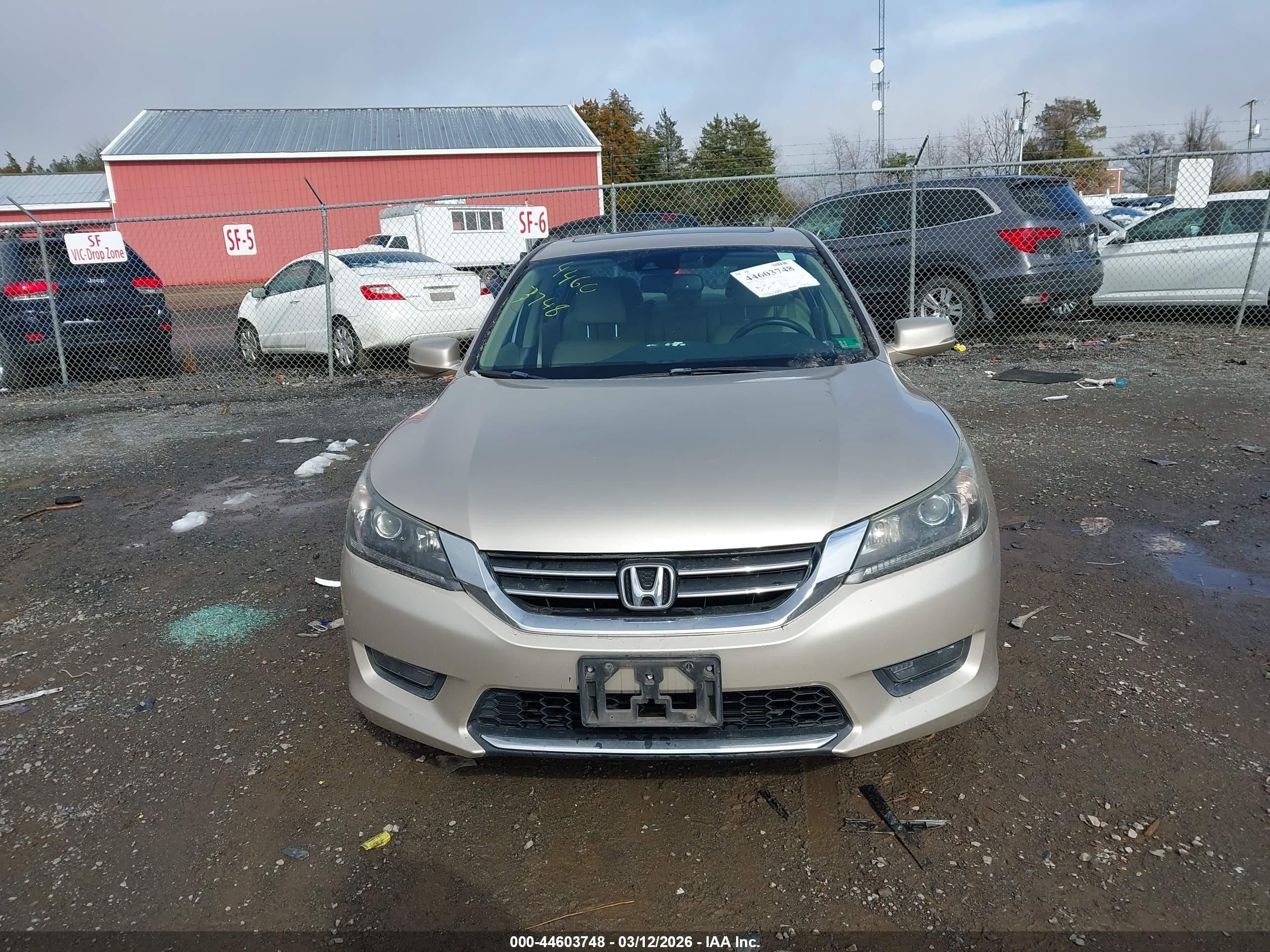 2014 Honda Accord Ex-l Золотой vin: 1HGCR2F84EA277927