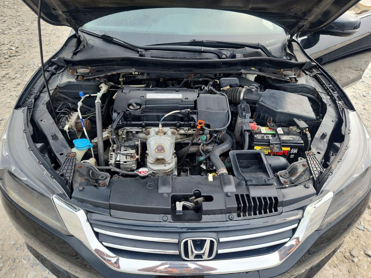 2014 Honda Accord Exl Black vin: 1HGCR2F84EA307265