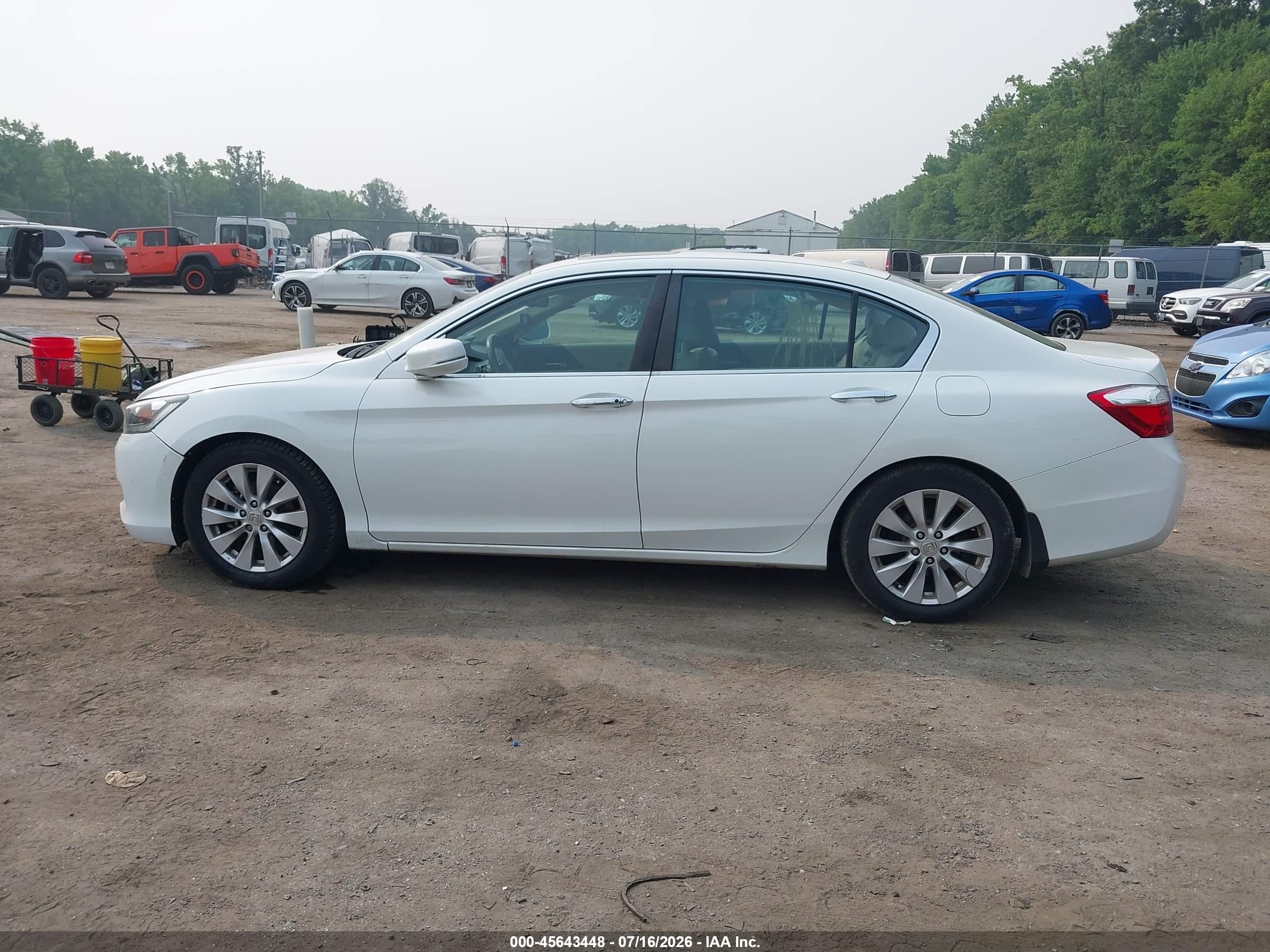 2015 Honda Accord Ex-l Белый vin: 1HGCR2F84FA028254