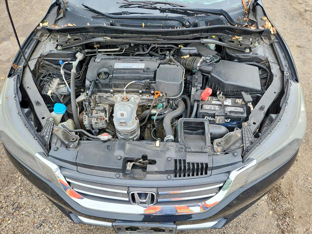 2015 Honda Accord Exl Black vin: 1HGCR2F84FA028822