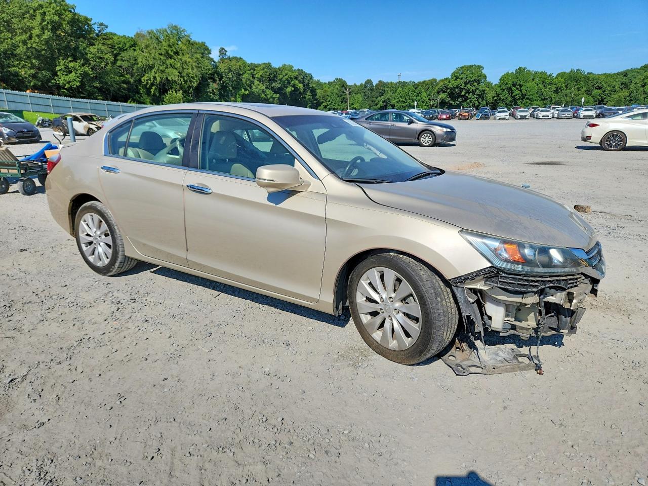 2015 Honda Accord Exl Золотой vin: 1HGCR2F84FA036192