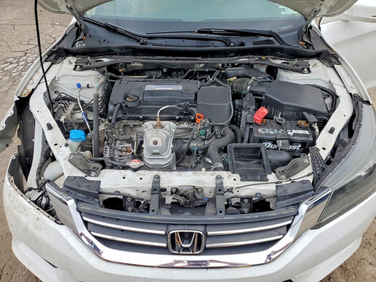2015 Honda Accord Exl White vin: 1HGCR2F84FA129875