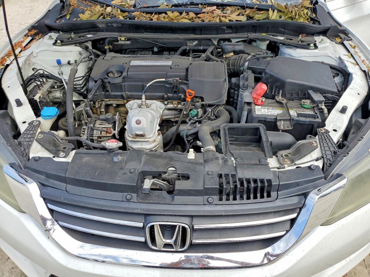 2015 Honda Accord Exl White vin: 1HGCR2F84FA133571