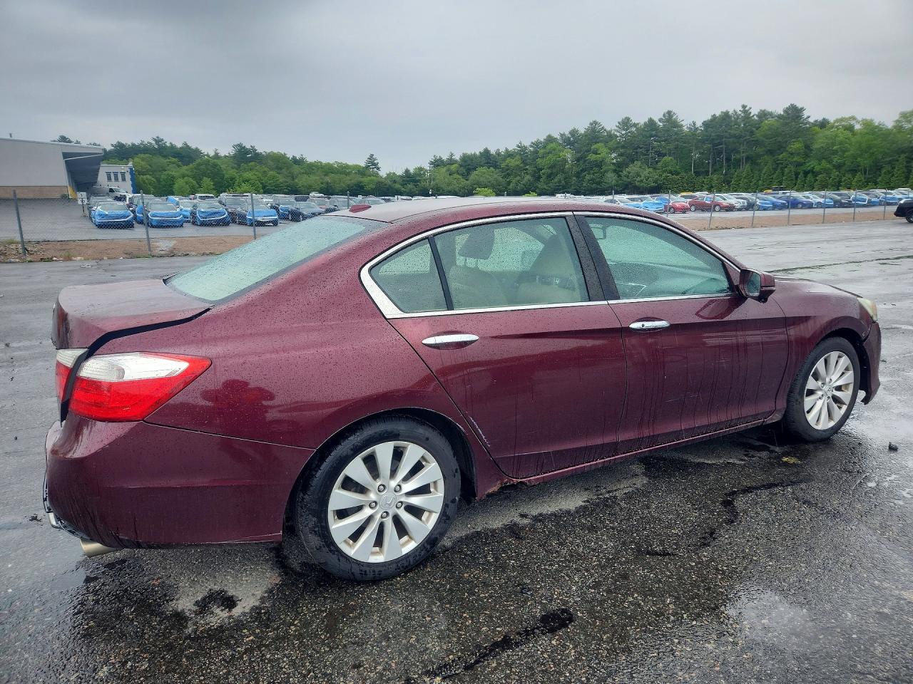 2013 Honda Accord Exl Red vin: 1HGCR2F85DA099346