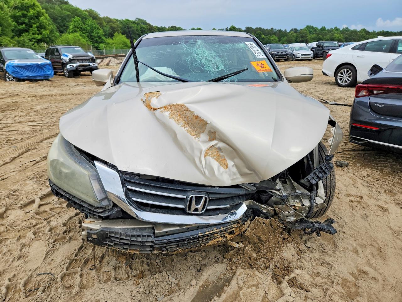 2013 Honda Accord Exl Gold vin: 1HGCR2F85DA117151