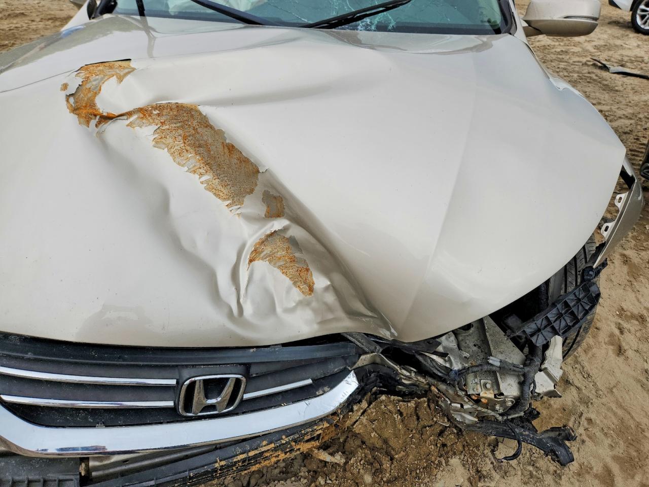 2013 Honda Accord Exl Gold vin: 1HGCR2F85DA117151