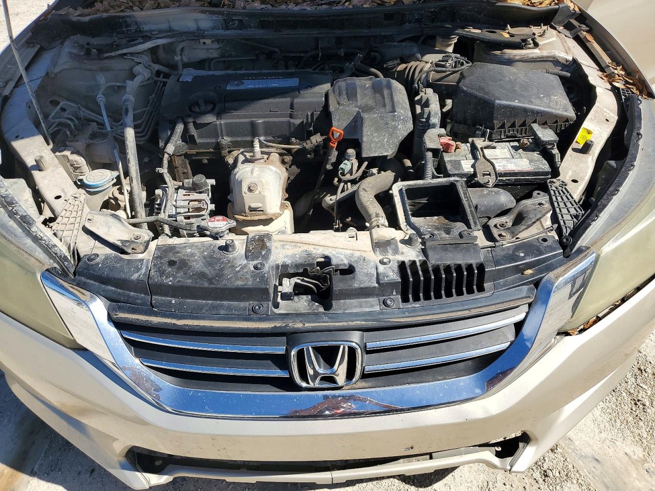 2013 Honda Accord Exl Tan vin: 1HGCR2F85DA173137