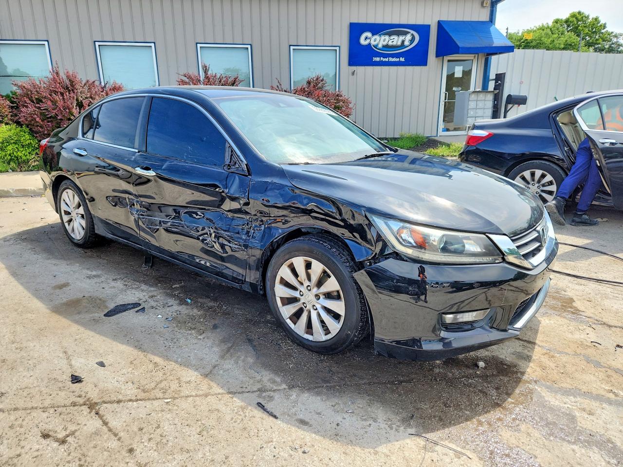 2014 Honda Accord Exl Черный vin: 1HGCR2F85EA025376