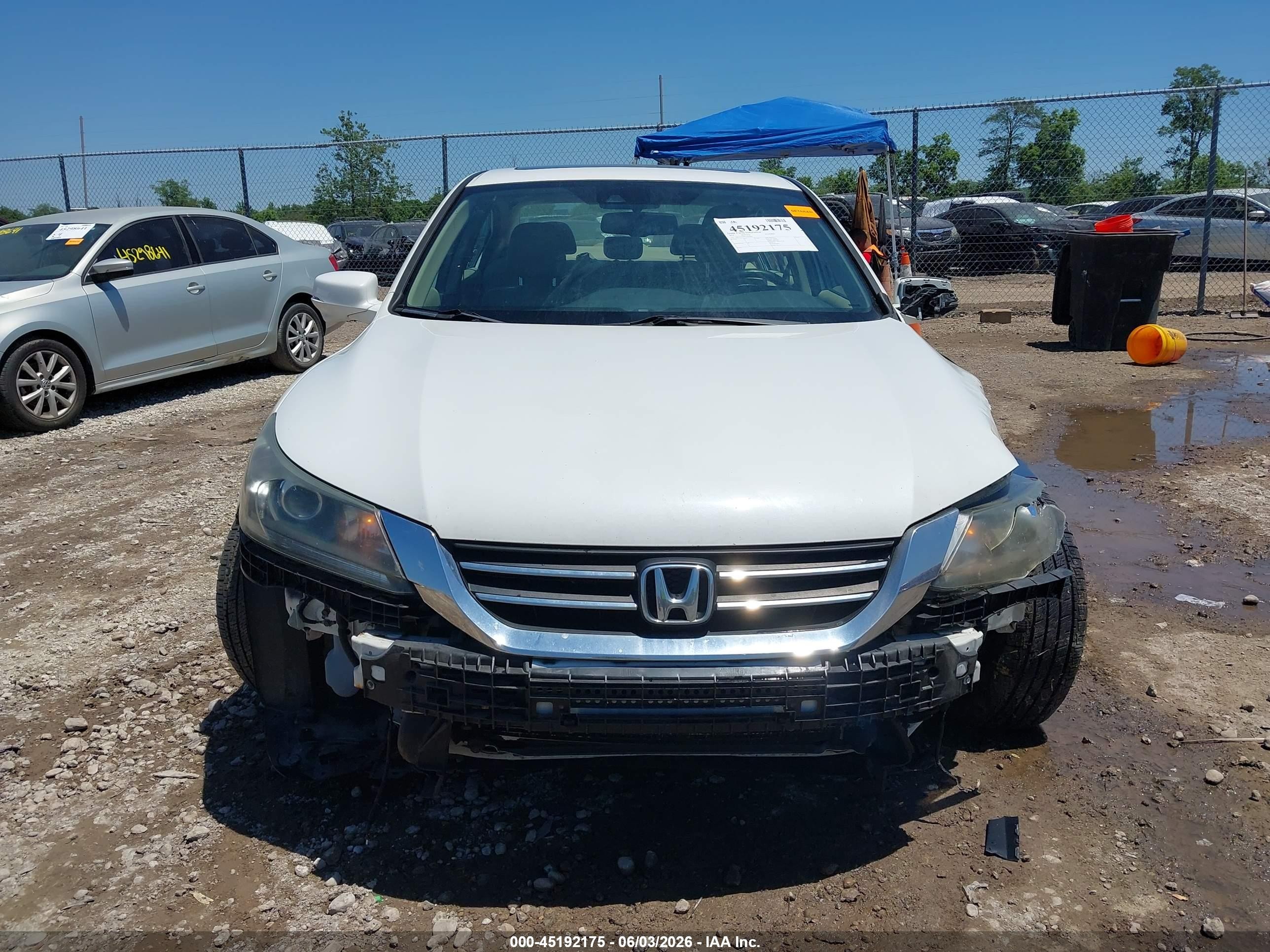 2015 Honda Accord Ex-l Белый vin: 1HGCR2F85FA233646