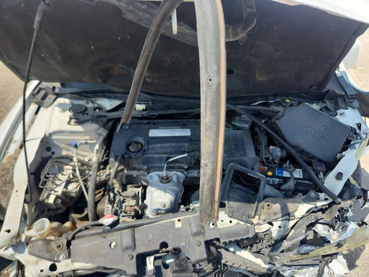 2013 Honda Accord Exl White vin: 1HGCR2F86DA039026