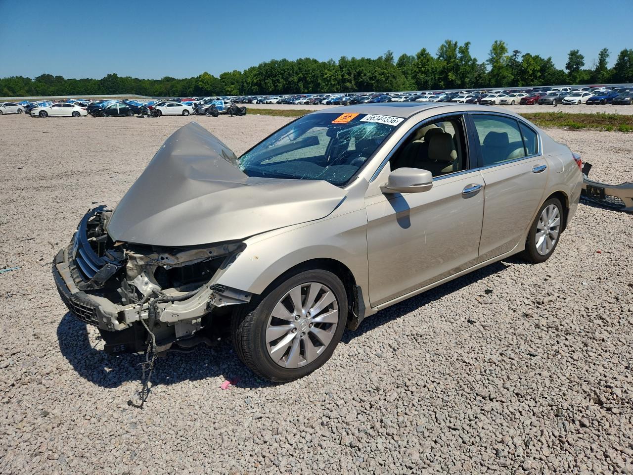 2013 Honda Accord Exl Cream vin: 1HGCR2F86DA123766