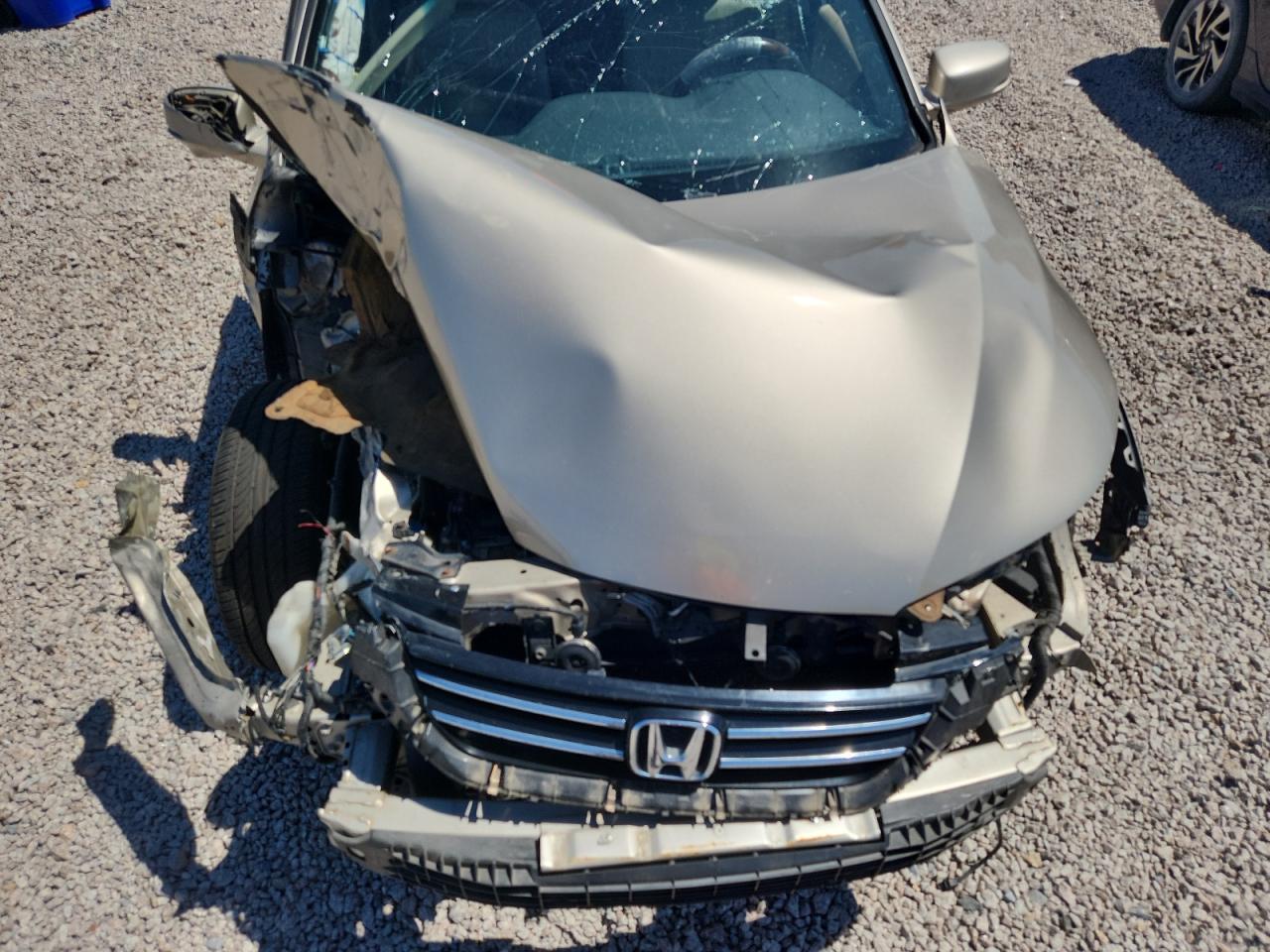 2013 Honda Accord Exl Cream vin: 1HGCR2F86DA123766