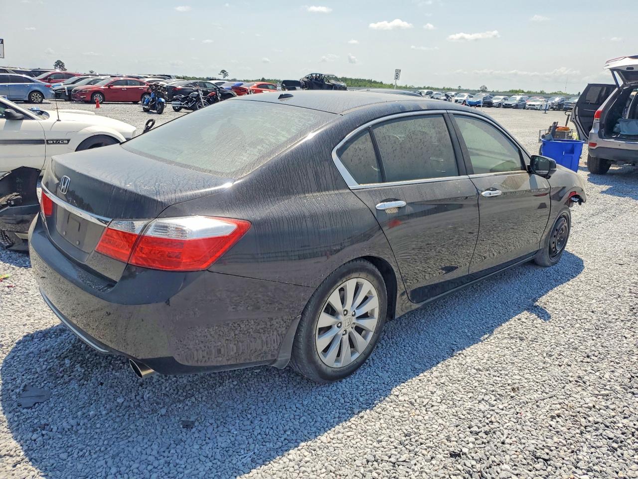 2013 Honda Accord Exl Black vin: 1HGCR2F86DA157299