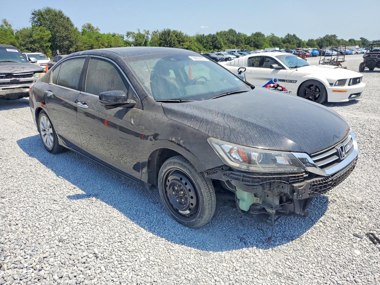2013 Honda Accord Exl Black vin: 1HGCR2F86DA157299